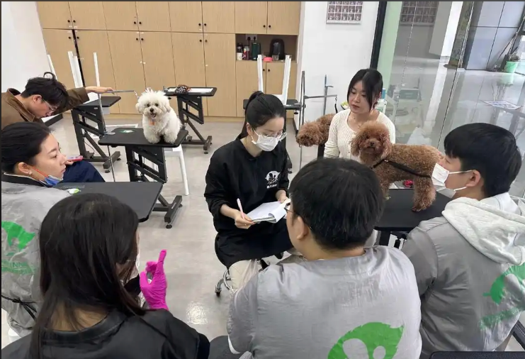 佛山市宠物美容学习宠物美容培训学校 - 方案